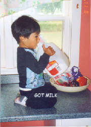 milk.jpg